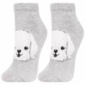 Szare skarpetki damskie stopki Moraj z pieskiem przód rozmiar 38-41